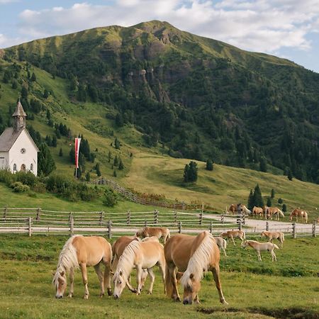 Zallinger Dolomites Алпе ди Сиуси Екстериор снимка