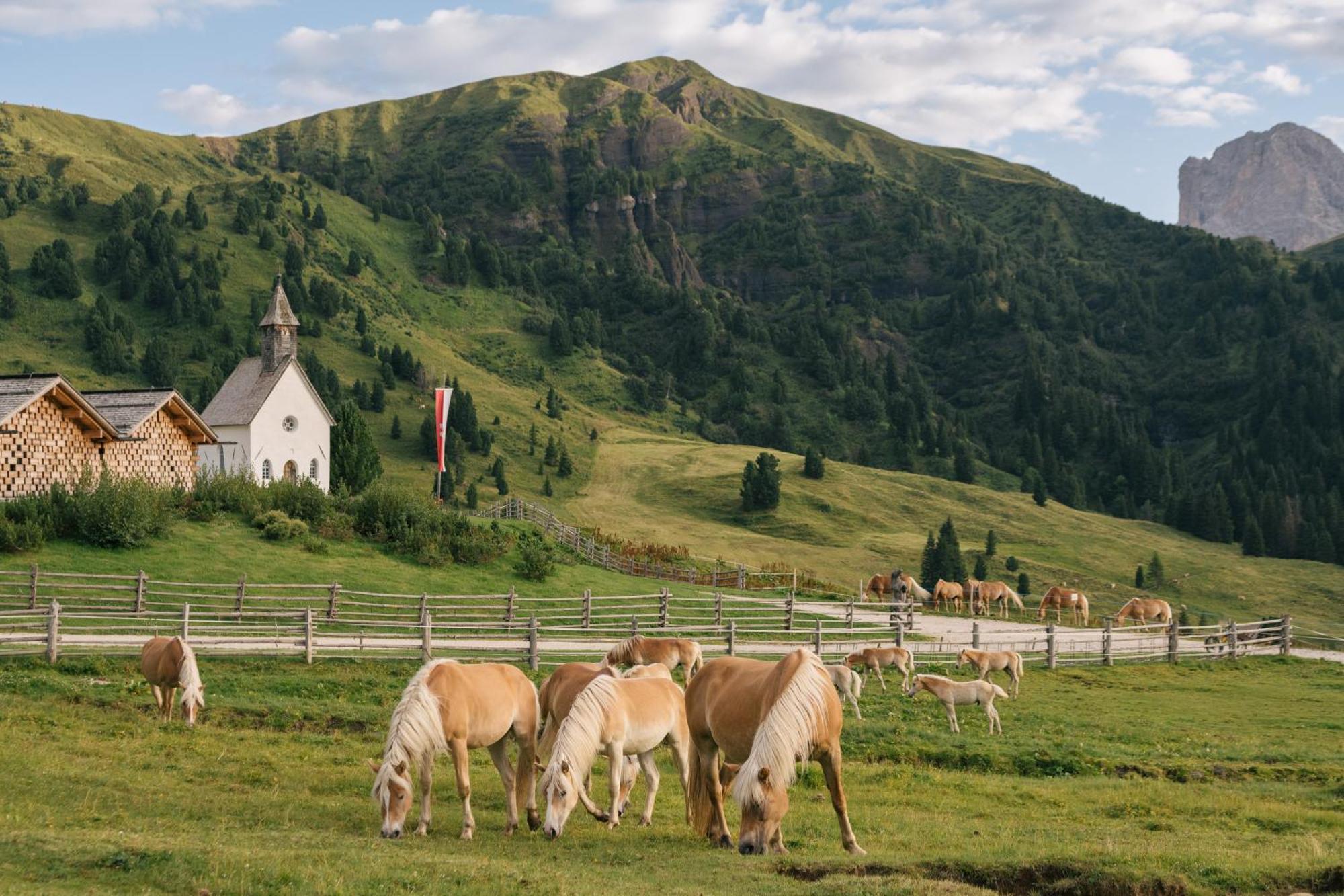 Zallinger Dolomites Алпе ди Сиуси Екстериор снимка